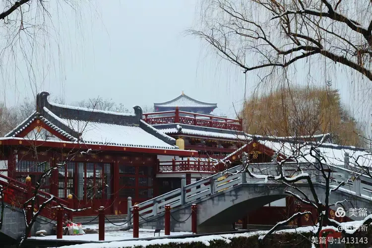 粉妆玉砌芙蓉园